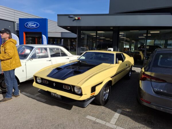Mustang Valley